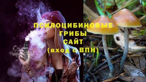 стафф Волоколамск